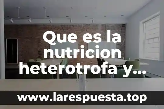 Que es la nutricion autotrofa tipos 5 Que es la nutricion heterotrofa y sus tipos