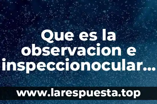 Que es documentos compartidos 3 Que es la observacion e inspeccionocular grafoscopia de documentos