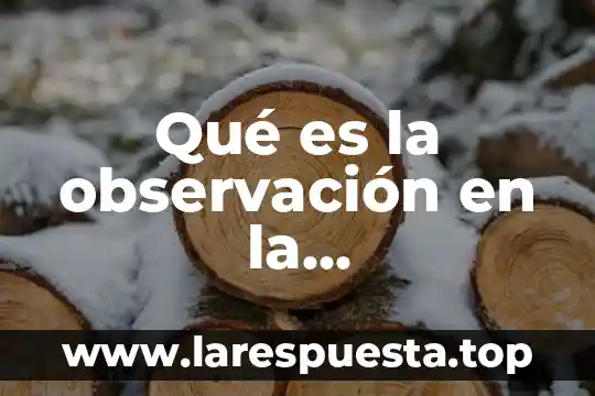 Que es y tipos de observacion 3 Qué es la observación en la investigación