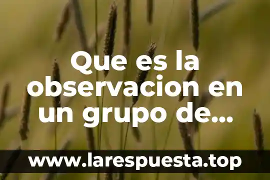 Que es y tipos de observacion 4 Que es la observacion en un grupo de clases