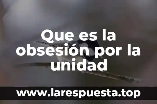 Que es la obsesión por la unidad