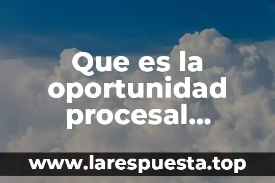 Que es una historia procesal 5 Que es la oportunidad procesal mexico