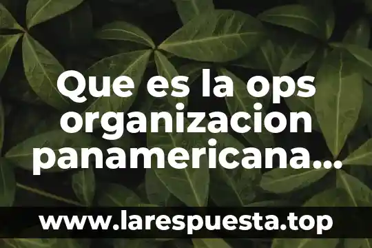 Que es democracia representativa caracteristicas 4 Que es la ops organizacion panamericana de la salud