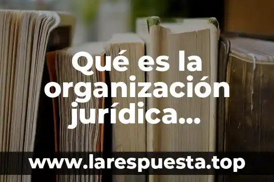 Qué es la organización jurídica definición