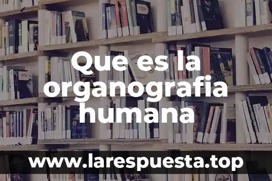 Que es la organografia humana