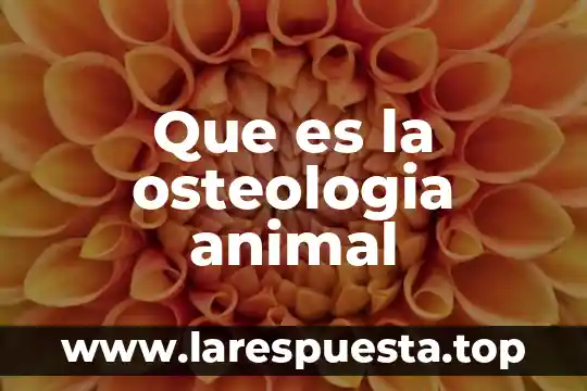Que es la osteologia animal