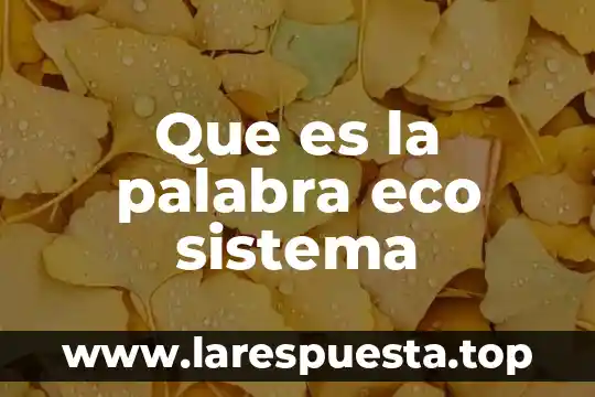 Que es eco en electronica 6 Que es la palabra eco sistema