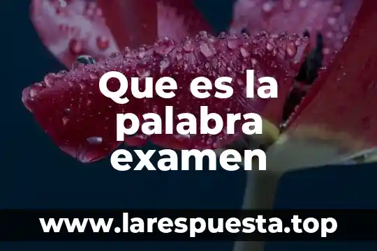 Que es la palabra examen