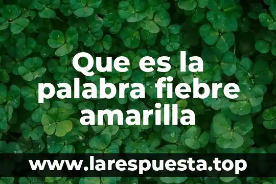 Que es la palabra fiebre amarilla