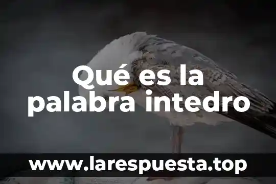 Que es calorica es palabra esdrújula 3 Qué es la palabra intedro
