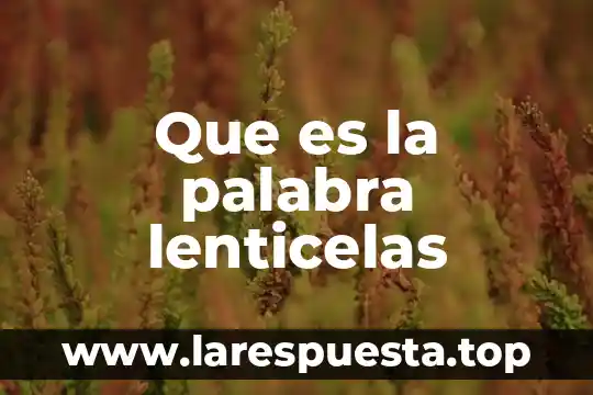 Que es la palabra lenticelas