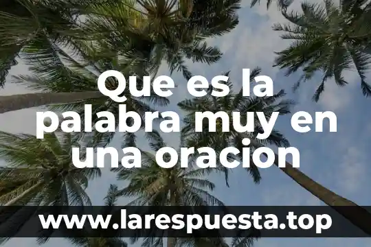 Que es la palabra pervivencia 8 Que es la palabra muy en una oracion