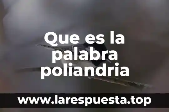 Que es la palabra poliandria