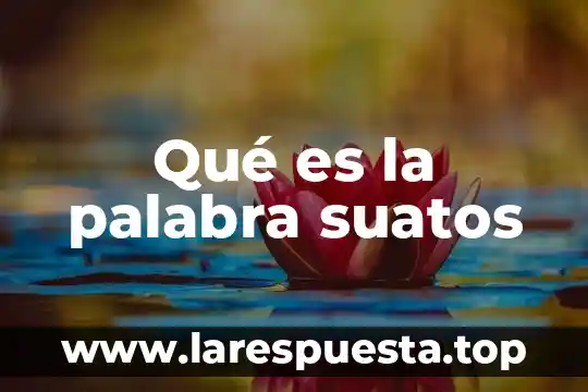 Qué es la palabra suatos