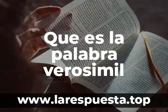 Que es la palabra verosimil