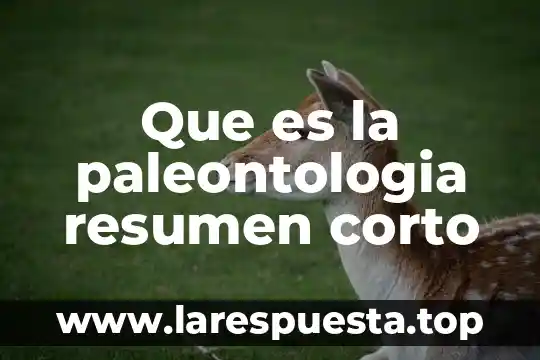 Qué es el nombre corto de una tarjeta de crédito 3 Que es la paleontologia resumen corto