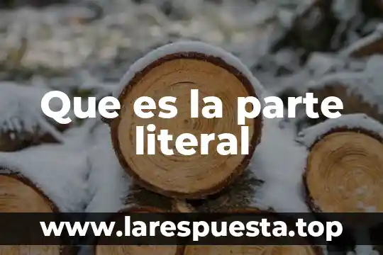 Que es la parte literal