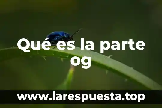 Qué es la parte og