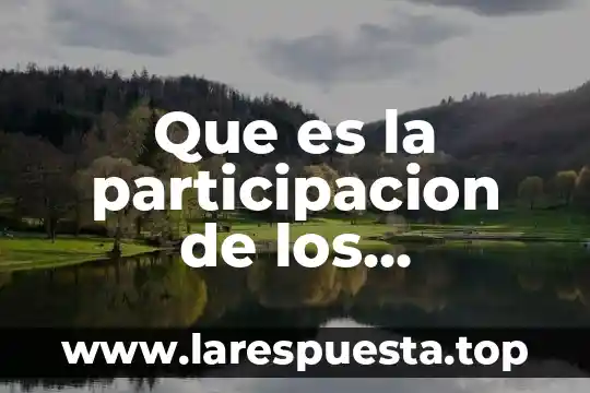 Que es la participacion de los programadores en los simuladores