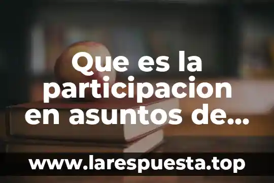 Que es la participacion en asuntos de interes comun