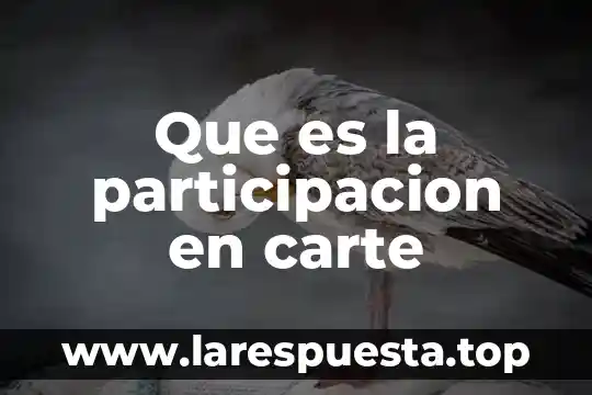 Que es la participacion en carte
