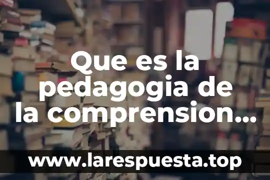 Que es la pedagogia de la comprension segun gardner