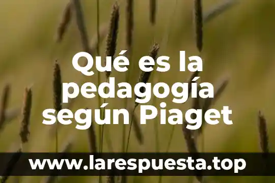 Qué es la pedagogía según Piaget