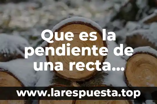 Qué es protecciónista definición 3 Que es la pendiente de una recta definicion