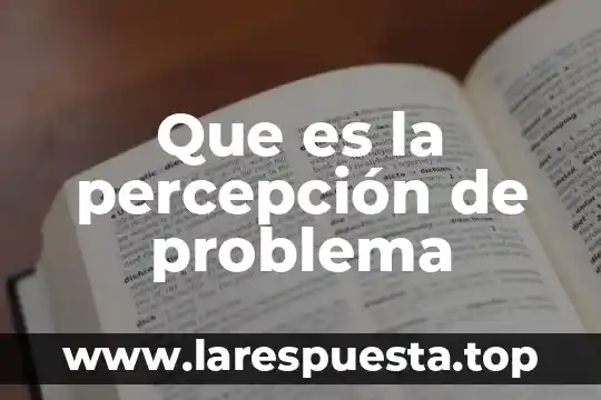 Qué es percepción de control autores 8 Que es la percepción de problema