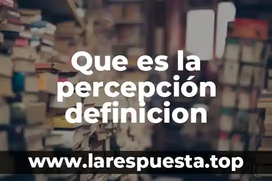 Que es la percepción definicion