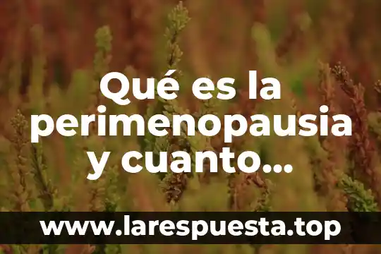 Que es una preafilacion al imss y cuanto tiempo dura 3 Qu茅 es la perimenopausia y cuanto tiempo dura