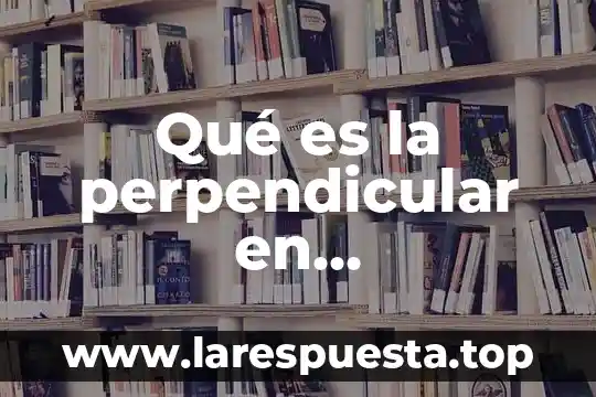 En matematicas que es trinomio 5 Qué es la perpendicular en matemáticas