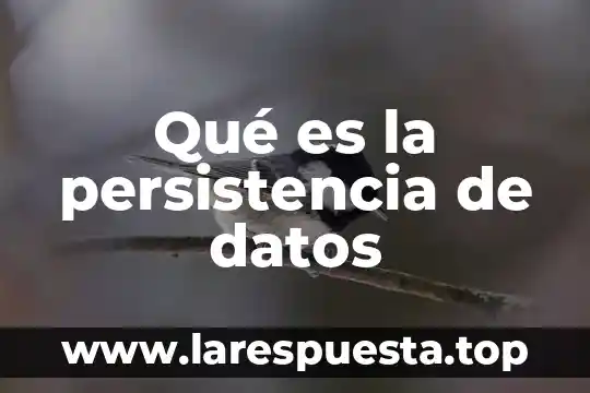 Que es sustraccion de datos 4 Qué es la persistencia de datos
