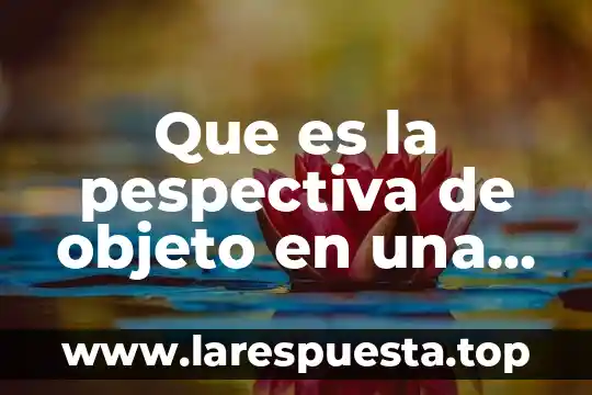 Que es el objeto posible en el contrato 7 Que es la pespectiva de objeto en una composicion visual