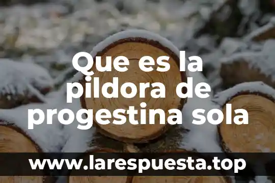 Que es un desecador sola 4 Que es la pildora de progestina sola