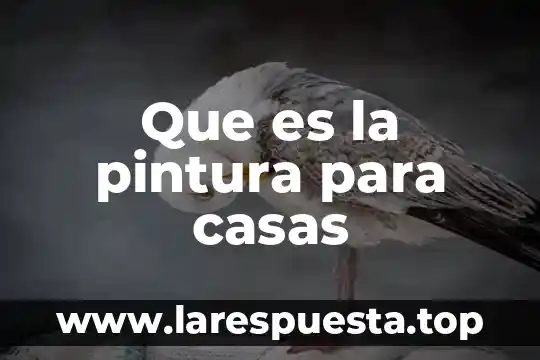 Soñar en que te casas que es 8 Que es la pintura para casas