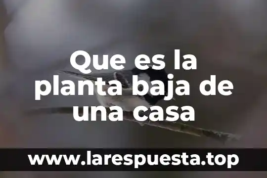 Que es la planta baja de una casa