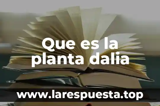 Que es la planta dalia