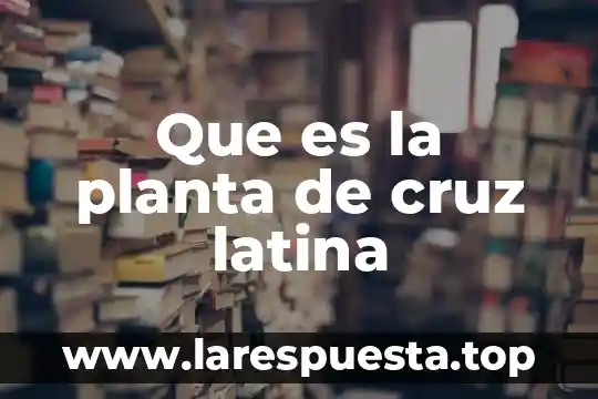 Qué es América Latina para Alain Rouquié resumen 4 Que es la planta de cruz latina