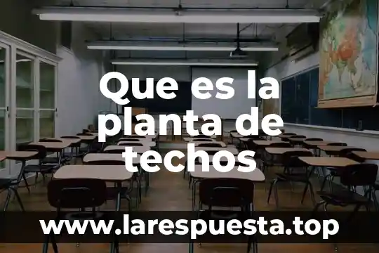 Que es desarrollode una planta 4 Que es la planta de techos