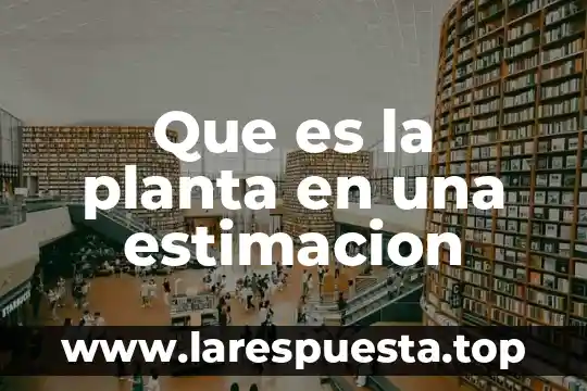 Que es la planta en una estimacion