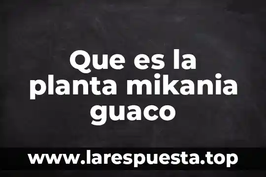 Que es la planta mikania guaco