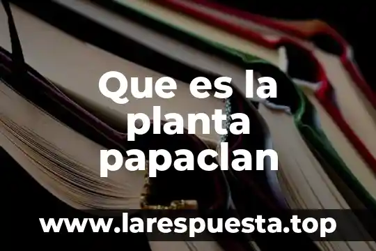 Que es la planta papaclan
