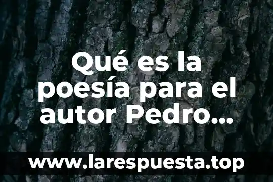 Qué es la poesía para el autor Pedro Salinas