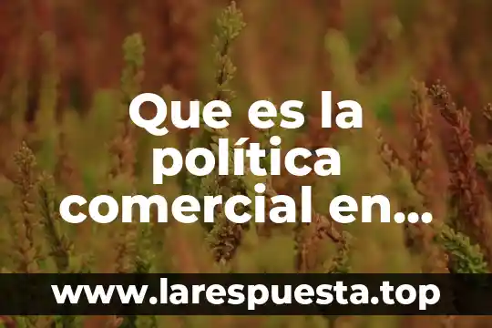 Que es la politica sabater 5 Que es la política comercial en méxico