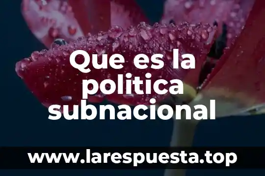Que es la politica sabater 8 Que es la politica subnacional