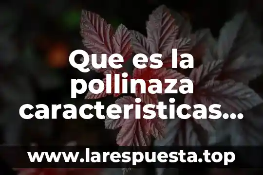 Que es una figura estrada y sus caracteristicas 7 Que es la pollinaza caracteristicas quimicas y fisicas