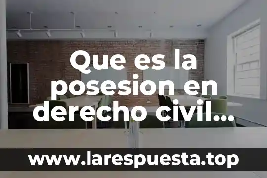 Que es vicio en derecho civil 7 Que es la posesion en derecho civil mexicano