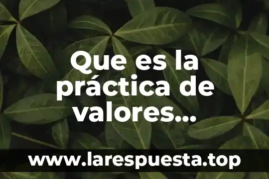 Que es la practica educativa segun van manem 5 Que es la práctica de valores mediante el ámbito escolar