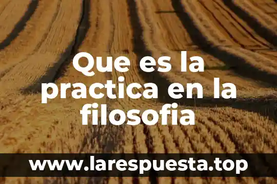 Que es la practica en la filosofia
